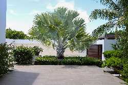 Villa Cosmo – Thumbnail 58